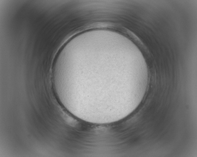 X0000081281178200702081945