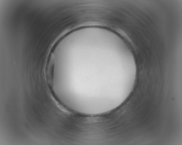 X0000081281181200702081945