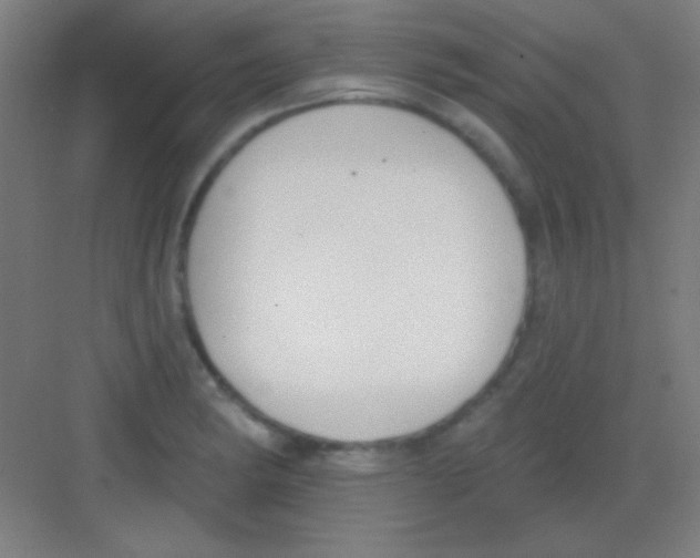 X0000081281182200702081945