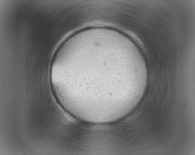 X0000081281183200702081945