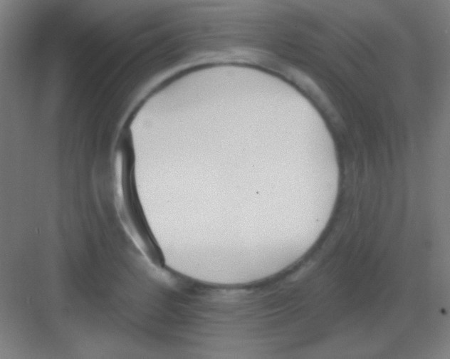 X0000081281184200702081945