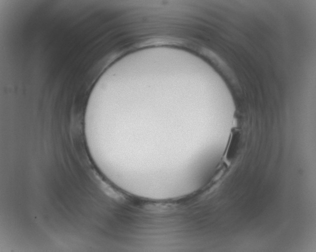 X0000081281185200702081945