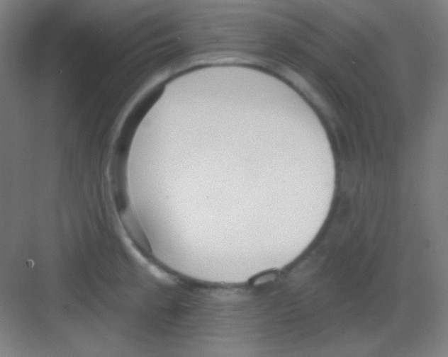 X0000081281189200702081945