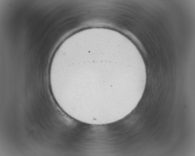 X0000081281191200702081945