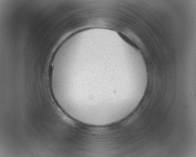 X0000081281192200702081945