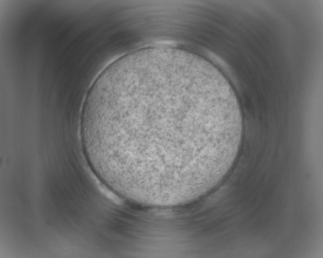 X0000081281194200702081945