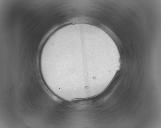 X0000081281196200702081944