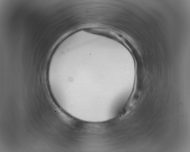 X0000081281197200702081944