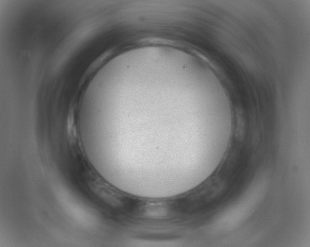 X0000081281198200702081944