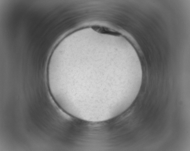 X0000081281199200702081944