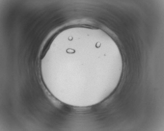 X0000081281200200702081944