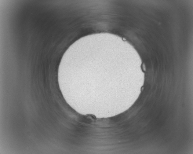 X0000081281201200702081944