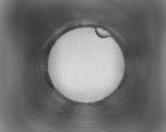 X0000081281207200702081944