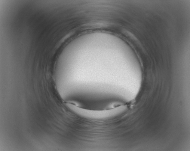 X0000081281210200702081944