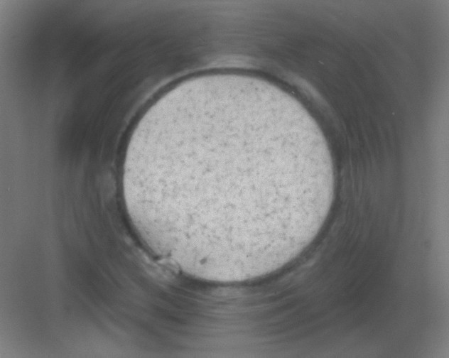 X0000081281212200702081944