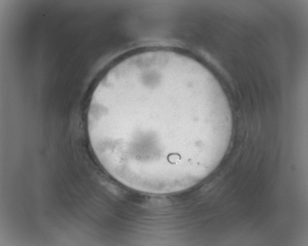 X0000081281215200702081944