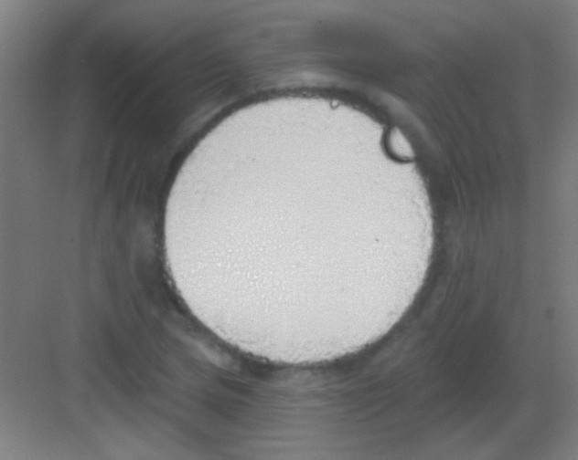 X0000081281217200702081944