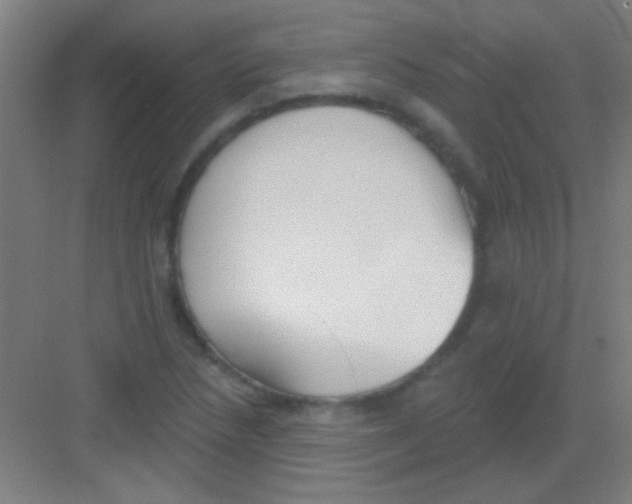 X0000081281218200702081944