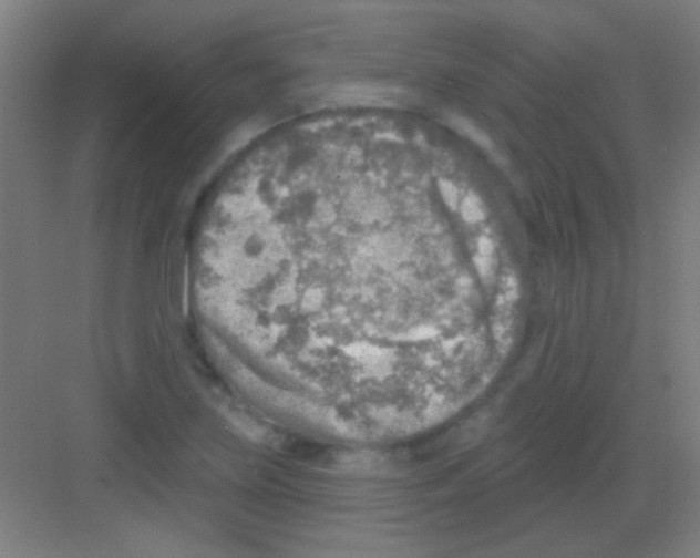 X0000081281219200702081944