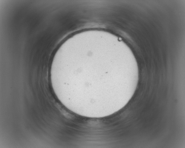 X0000081281220200702081944