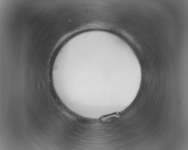 X0000081281222200702081944