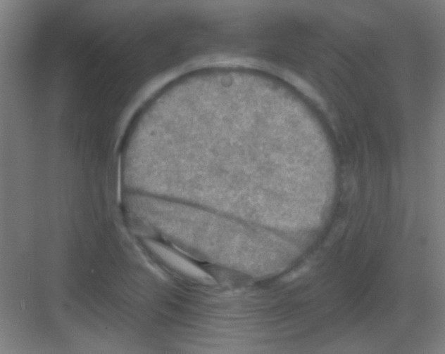 X0000081281223200702081944