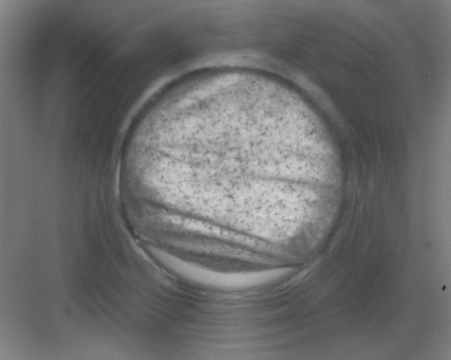 X0000081281224200702081944