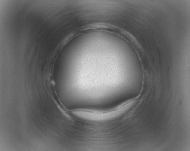 X0000081281225200702081944