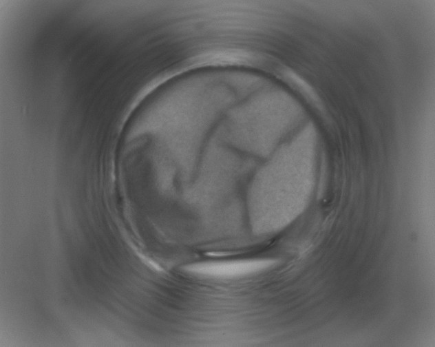 X0000081281226200702081944