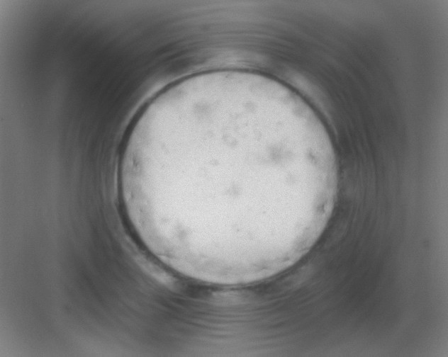 X0000081281227200702081944