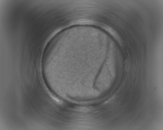 X0000081281229200702081944