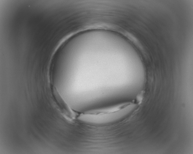 X0000081281230200702081944