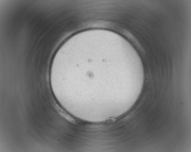 X0000081281232200702081944