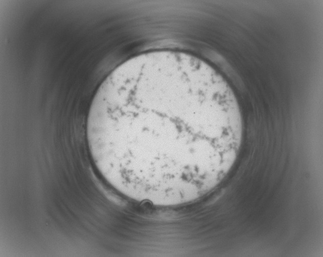 X0000081281233200702081944