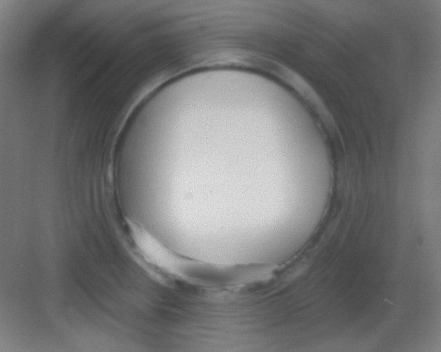 X0000081281234200702081944