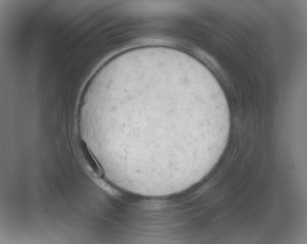 X0000081281236200702081944