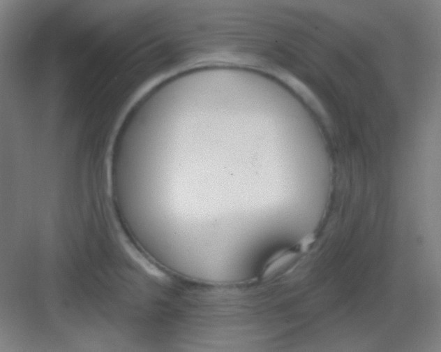 X0000081281238200702081944