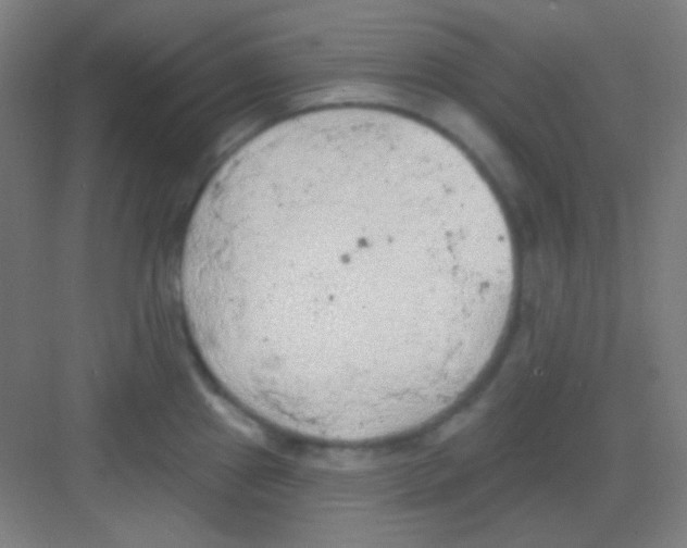 X0000081281241200702081944