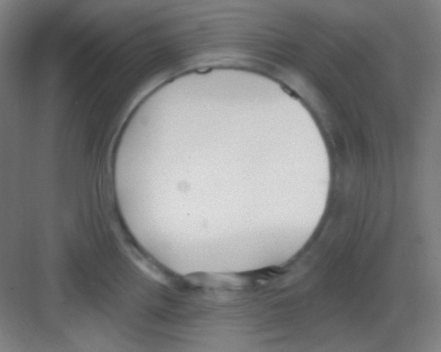 X0000081281242200702081944