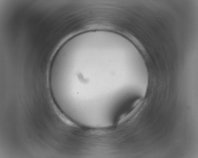 X0000081281246200702081944