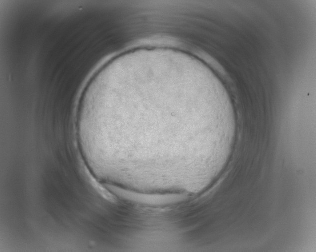 X0000081281248200702081944