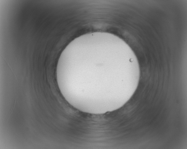 X0000081281249200702081944