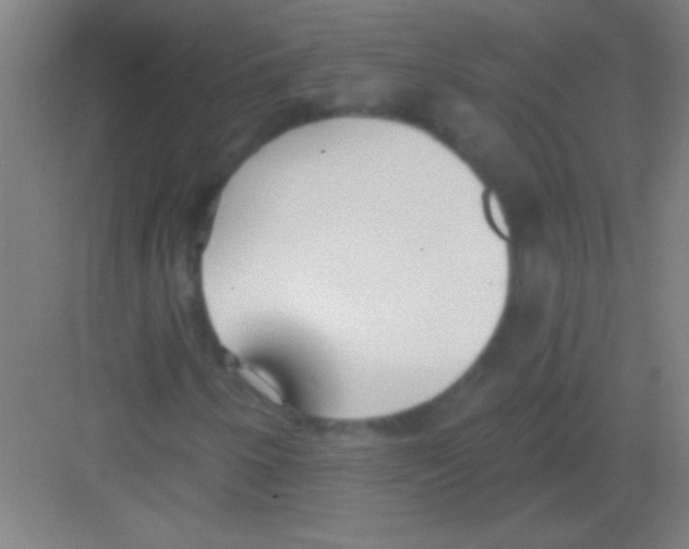 X0000081281250200702081944