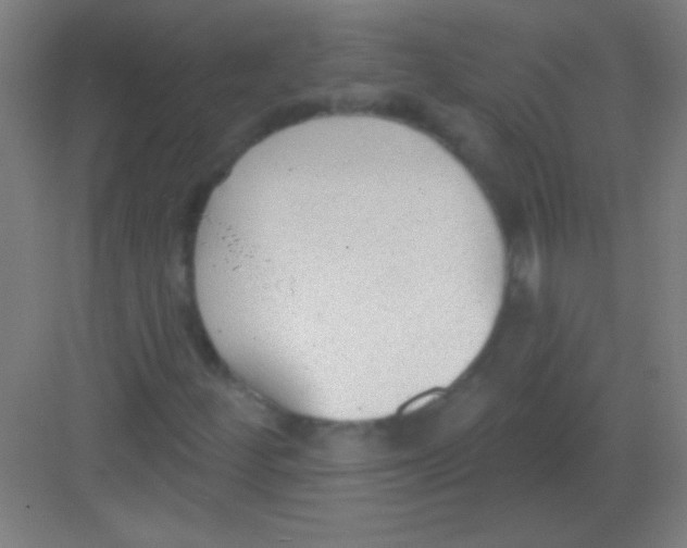 X0000081281252200702081944