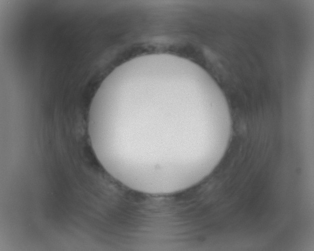 X0000081281253200702081944