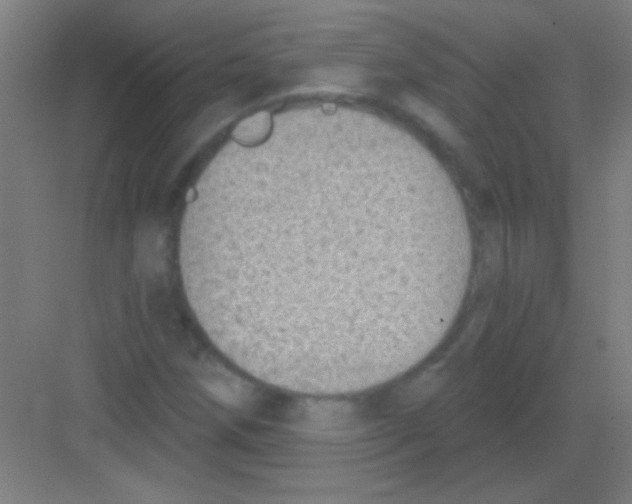 X0000081281258200702081943