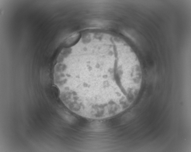 X0000081281259200702081943