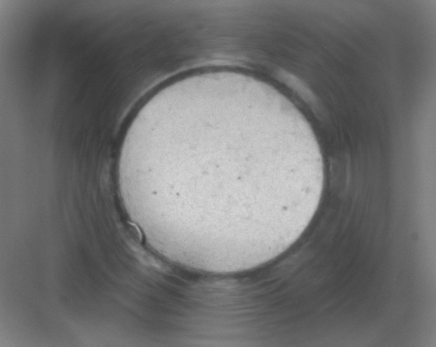 X0000081281260200702081943