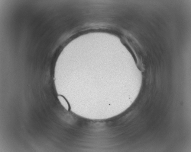 X0000081281261200702081943