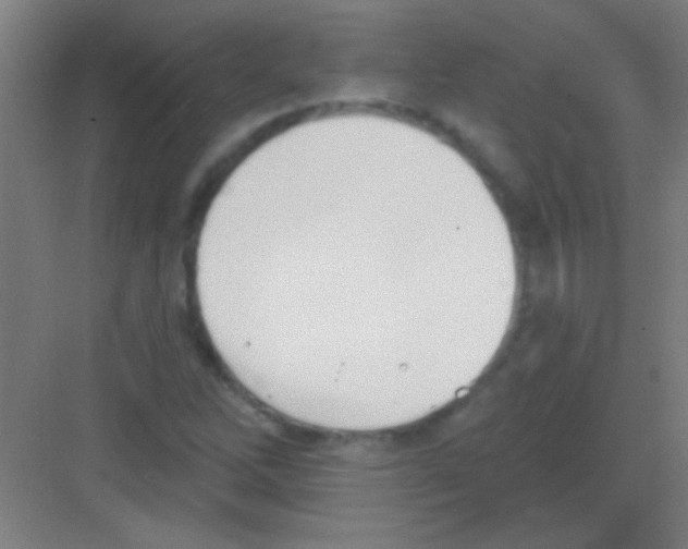 X0000081281262200702081943